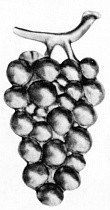 Виноградная гроздь штамп 135*67 т0,9